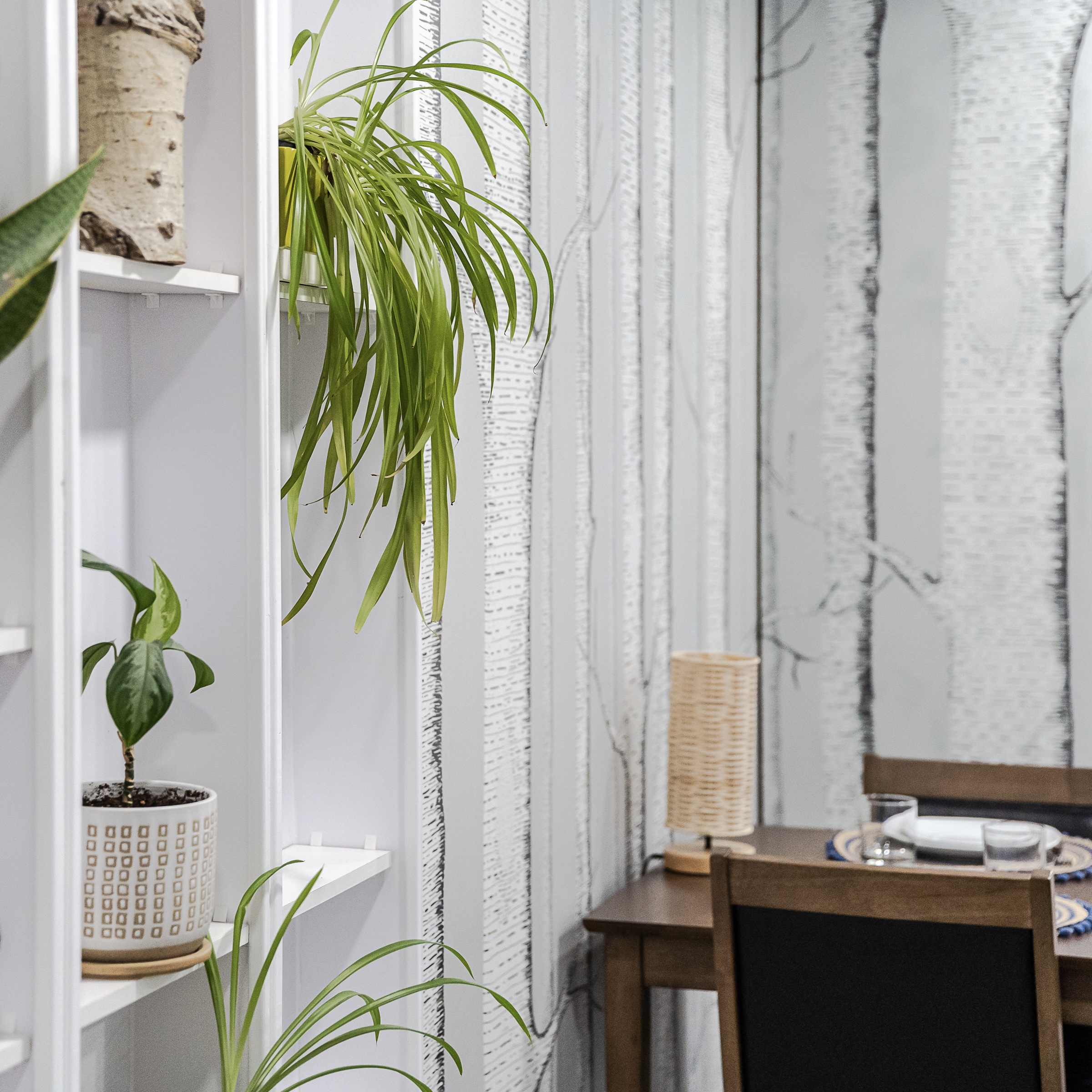 A table for two is tucked into a cozy corner lined with soft green wallpaper patterned with tall white tree trunks. White inset wall shelving filled with leafy green plants & wood accents frames the foreground on the left.