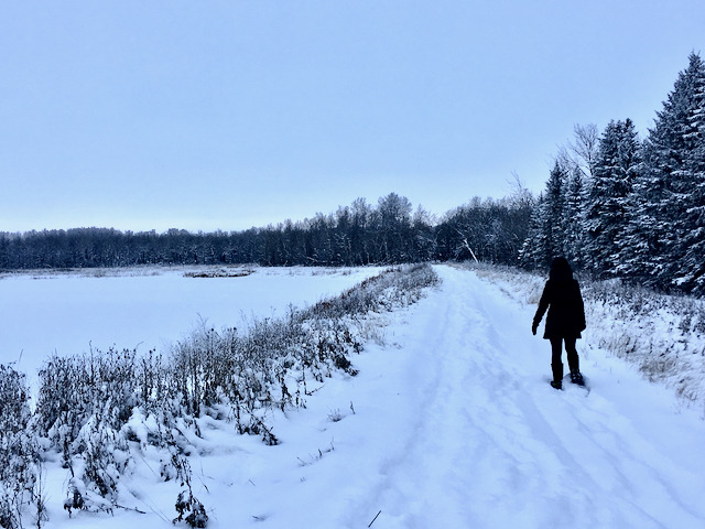 A woman in a black coat, ski pants and snowshoes walks along a wide snowy trail. There is a line of bare woods to the right and a snowy frozen pond on the left, with a grey-blue winter sky above.