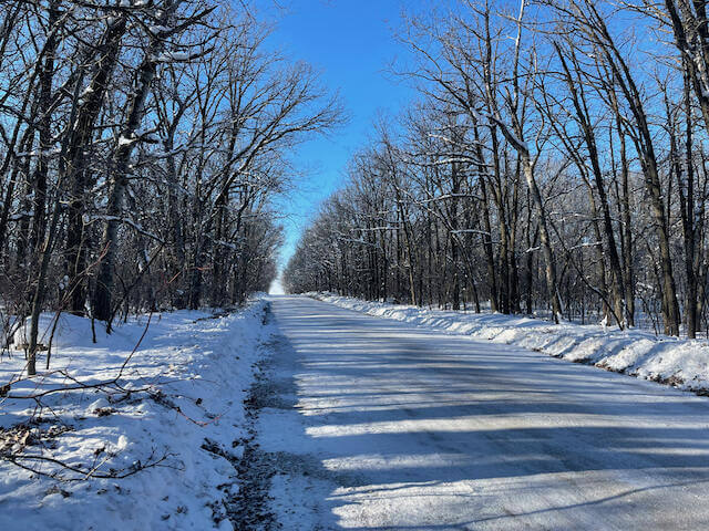 A dense, bare, wintry woods filled with snow lines a country road, freshly cleared of snow with a clear blue sky above.